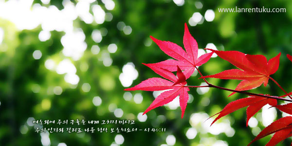 ���Ǳ�����